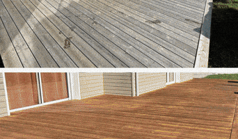 Cleantwood GIF