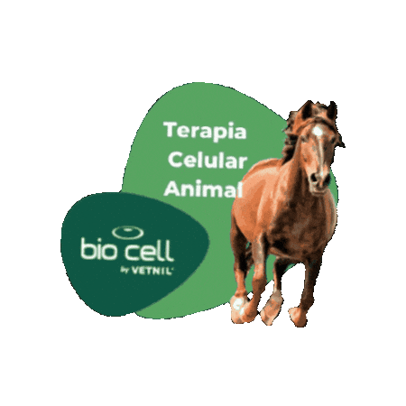 Terapia Celular Sticker by BIO CELL by Vetnil