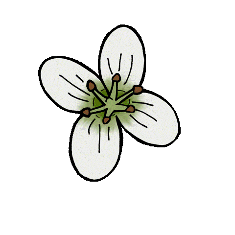 mico Sticker
