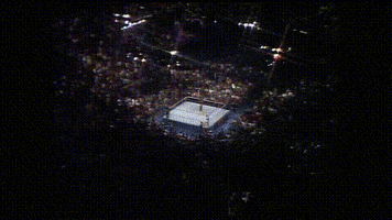 Wwf GIF