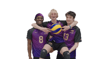 Volleyball Gopanthers Sticker by University of Brighton