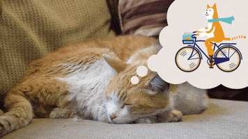 byandlg  GIF