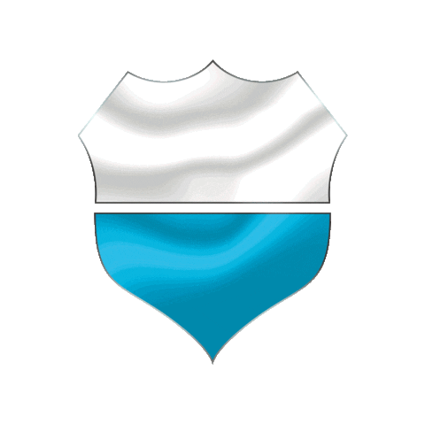 Leatherboost Sticker by Nasiol Brasil