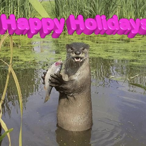 Happy Holidays Greetings GIF by J. Lupo Arms