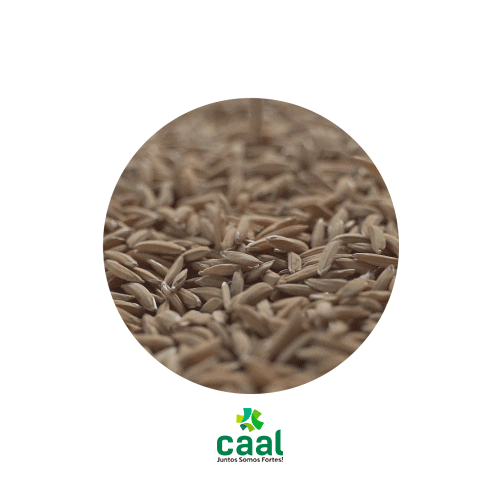 Soja Trigo Sticker by CAAL Cooperativa