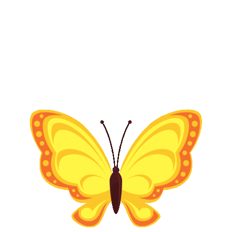Butterfly Insect Sticker by entomologando