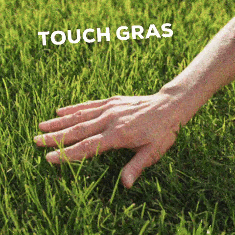 Touch Grass GIF