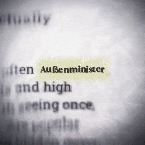 Germany Politics GIF