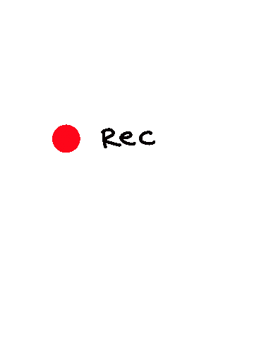 Camera Sticker