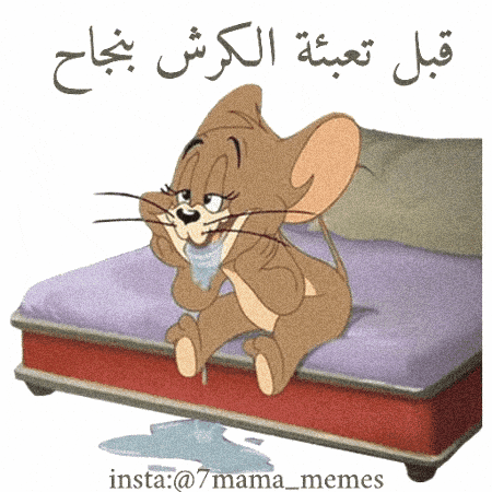 تم تعبئة الكرش بنجاح GIF