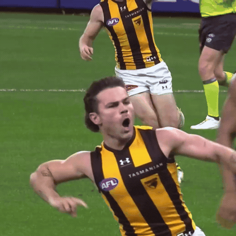 The Wizard Afl GIF