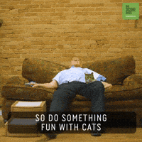 Cat Sleeping GIF by 60 Second Docs