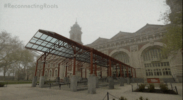 New York Immigration GIF by Reconnecting Roots