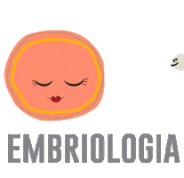 Sticker by InstitutoBiomed