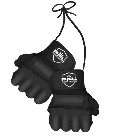 Mma Ring Sticker