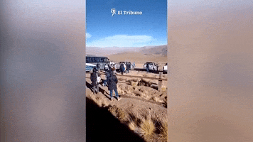 El Tribuno GIF