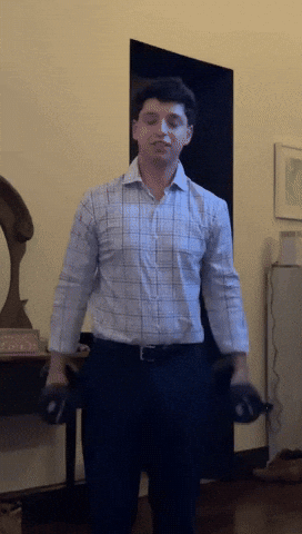 Sumo GIF