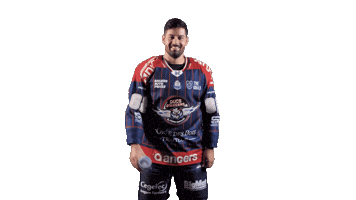 Ducs2026 Sticker by Les Ducs d'Angers