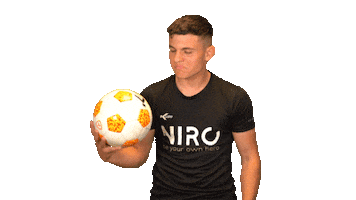 Niro Legacy Sticker