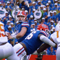 Celebrate College Football GIF by Florida Gators