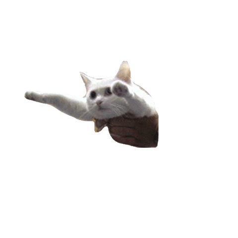 Reon Digital Sticker
