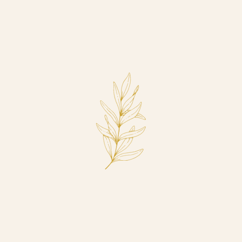 vegaduque GIF