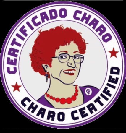 Charo GIF by AlmaRacing