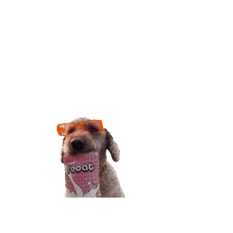 reoat Sticker