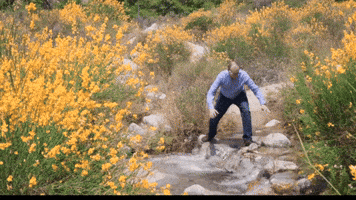 January 6 Oops GIF by BabylonBee