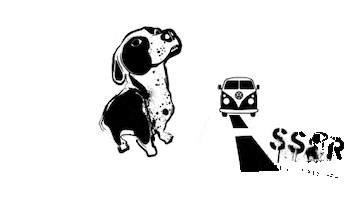 SSR Sticker