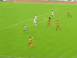 lidergif  GIF