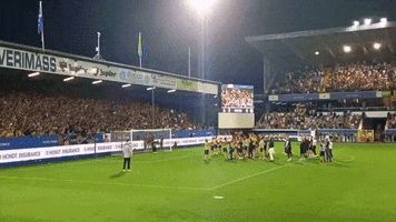Champions League Soccer GIF by Storyful