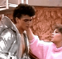 the facts of life 80s GIF by absurdnoise