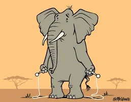 elephant jump rope GIF