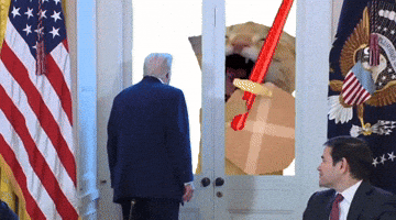 Donald Trump GIF