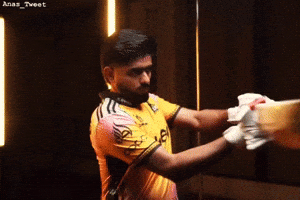 Peshawar Zalmi King GIF