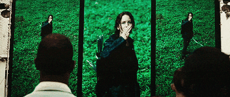 the hunger games salute GIF