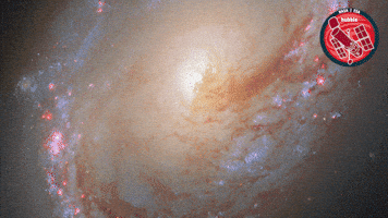 Stars Falling GIF by ESA/Hubble Space Telescope