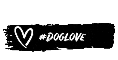 Hundeliebe Sticker by kleaheart