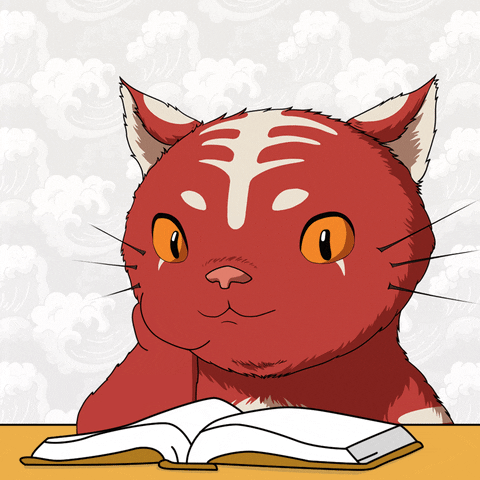 Cat School GIF by Kitaro World
