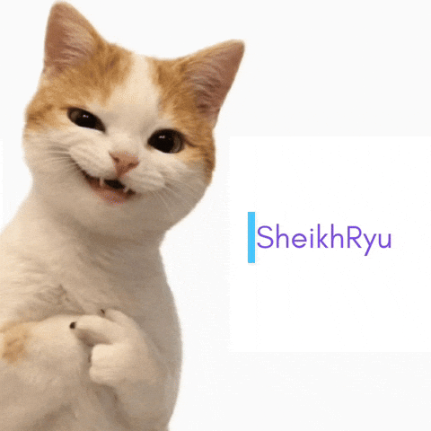 Funny Cat GIF