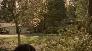 Postal Service Delivery GIF by IFHT Films