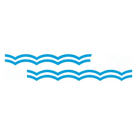 NYC Ferry Sticker