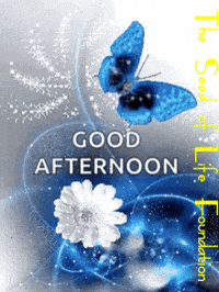 Goodafternoon GIFs - Get the best GIF on GIPHY Goodafternoon GIFs - Get the best GIF on GIPHY