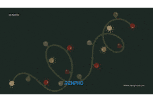 Fitness Health GIF by RENPHO