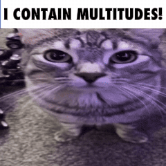 Cat GIF