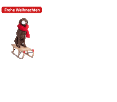 Merry Christmas Dog Sticker by Niedersachsen-Ticket