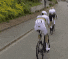 Chasing Number 1 GIF