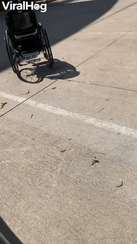 Rolling Wheelchair Returns GIF by ViralHog