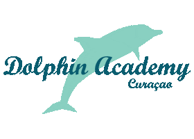 Dolphin Academy Sticker